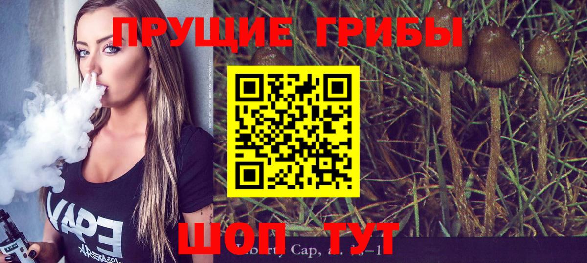 Менделеевск  наркошоп  Вход с VPN  Псилоцибиновые грибы мицелий  Псилоцибиновые грибы Psilocybe 